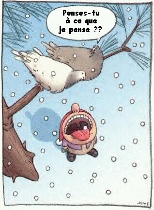 Bon apétit !!!